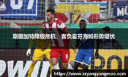 易游体育app