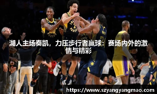 易游体育