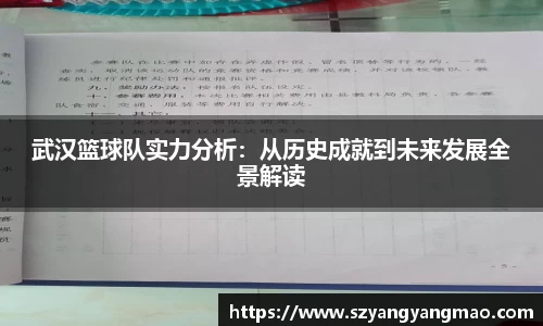 武汉篮球队实力分析：从历史成就到未来发展全景解读