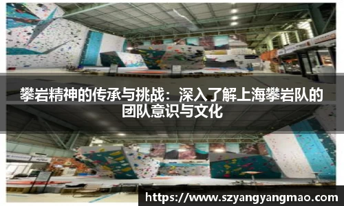 攀岩精神的传承与挑战：深入了解上海攀岩队的团队意识与文化