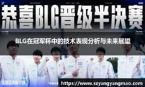 BLG在冠军杯中的技术表现分析与未来展望